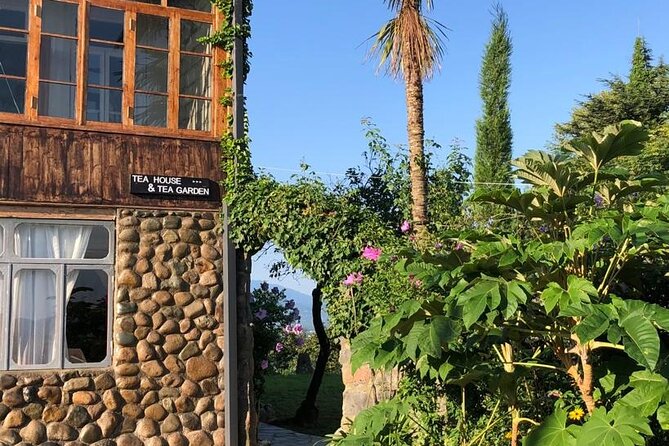 1,5 Hours Tea House and Tea Garden Trip in Ozurgeti Georgia - The three-tea tasting with a tea master
