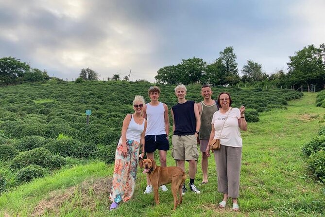 1,5 Hours Tea House and Tea Garden Trip in Ozurgeti Georgia - Hand-picking and shaping leaves in the plantation