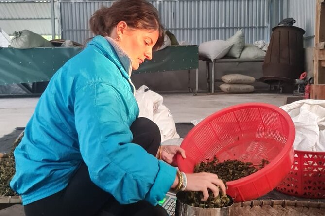 2 days Ancient Tea Tour and Real Homestay West of Ha Giang - Key points before you book