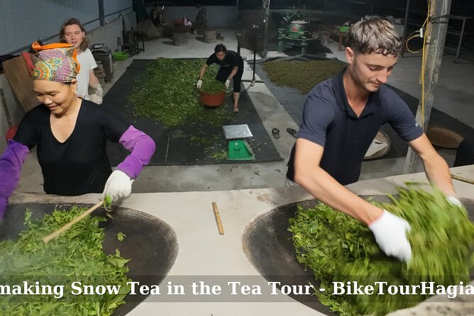 2 days Ancient Tea Tour and Real Homestay West of Ha Giang - Starting in Ha Giang by bike