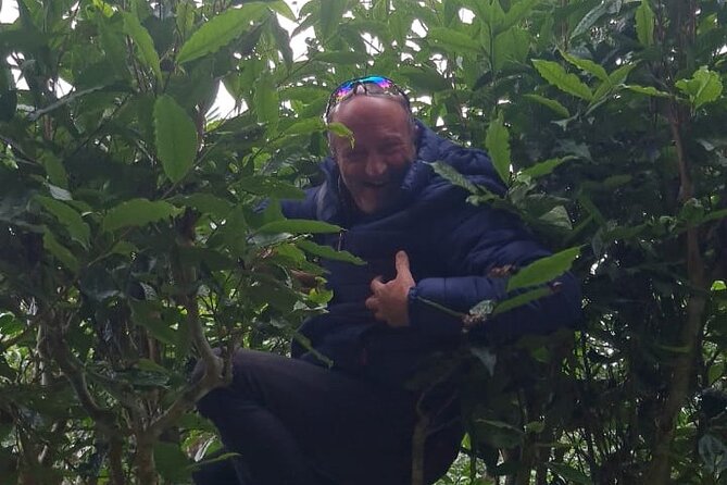 2 days Ancient Tea Tour and Real Homestay West of Ha Giang - How the timing really works