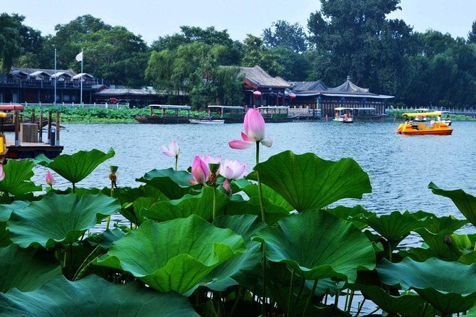 3-Hour Private Hutong Walking Tour with Drum Show at Drum Tower and Tea Tasting - Why This Short Beijing Walk Works