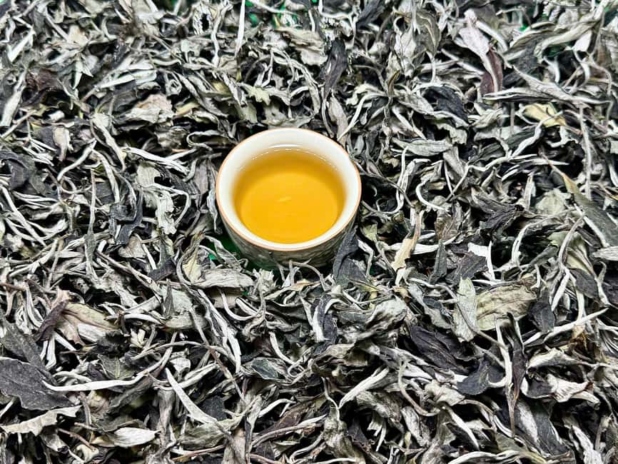 3 Hour Vietnam Tea & Egg Coffee Tasting With Train Street - Inside An Nhi Trà’s Two-Hour Tea Session