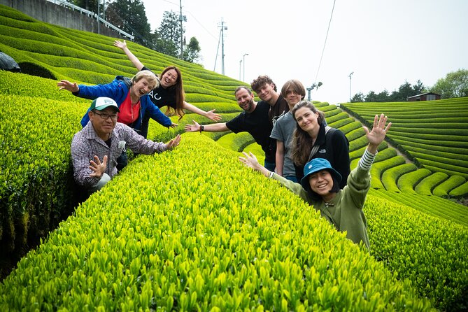 7hr Private Wazuka True Hidden Kyoto Matcha Farm Experience - Meeting at Wazuka-cha Cafe at 10 a.m.