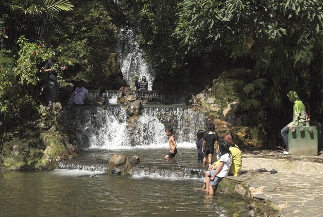Active Volcano, Rice Field, Hot Spring, Fruit market, Tea Plantation with Lunch - Rice fields and village life in Subang