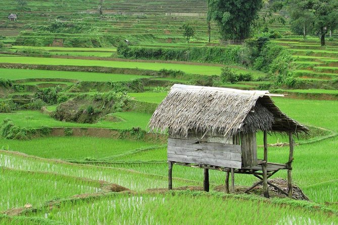 Active Volcano, Rice Field, Hot Spring, Fruit market, Tea Plantation with Lunch - Ciater Hot Springs: a warm finish
