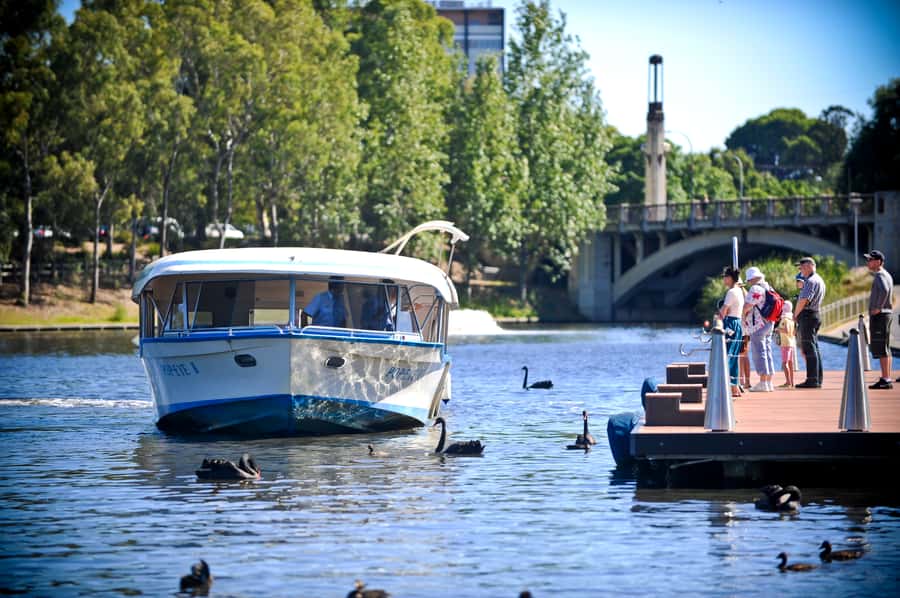 Adelaide: River Torrens Popeye Devonshire Tea Cruise - Fresh scones before the city views