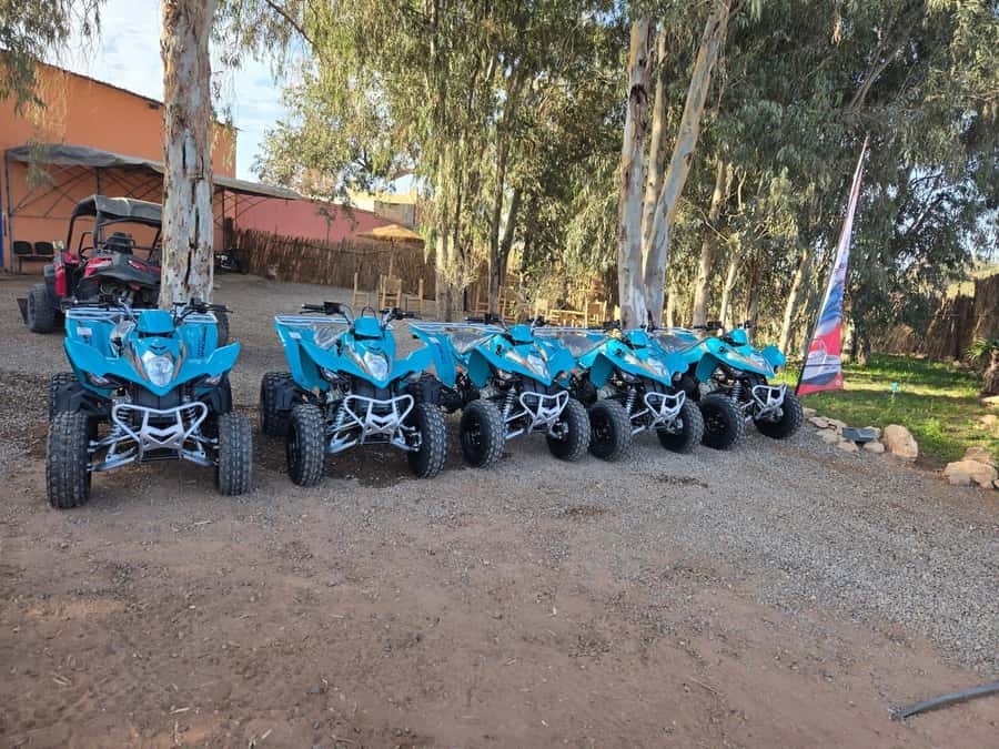 Agadir : 2 h Quad biking excursion with moroccan tea - Key points to know before you book