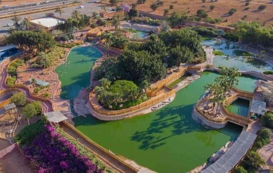 Agadir: Quad Bike Safari Desert With Moroccan Tea - Mint tea under a Berber shelter