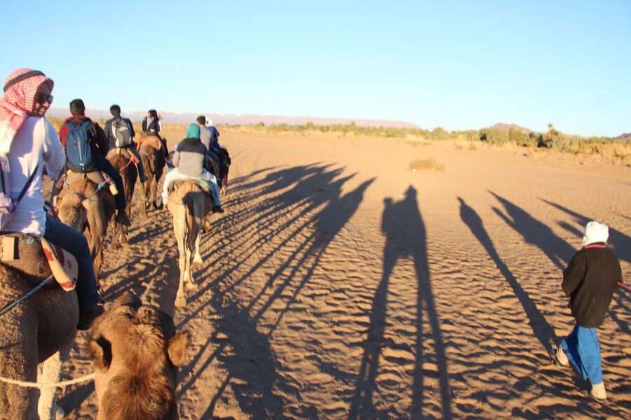 Agadir/Taghazout/Port: Camel Ride Tea & BBQ Option - Starting near Agadir with hotel pickup