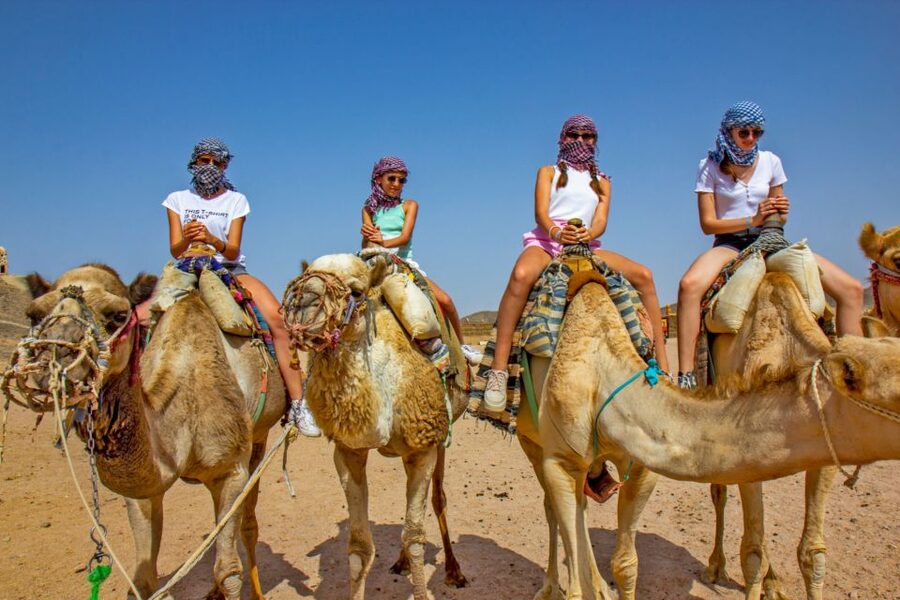 Agadir/Taghazout/Port: Camel Ride Tea & BBQ Option - Following the camel caravan to the river