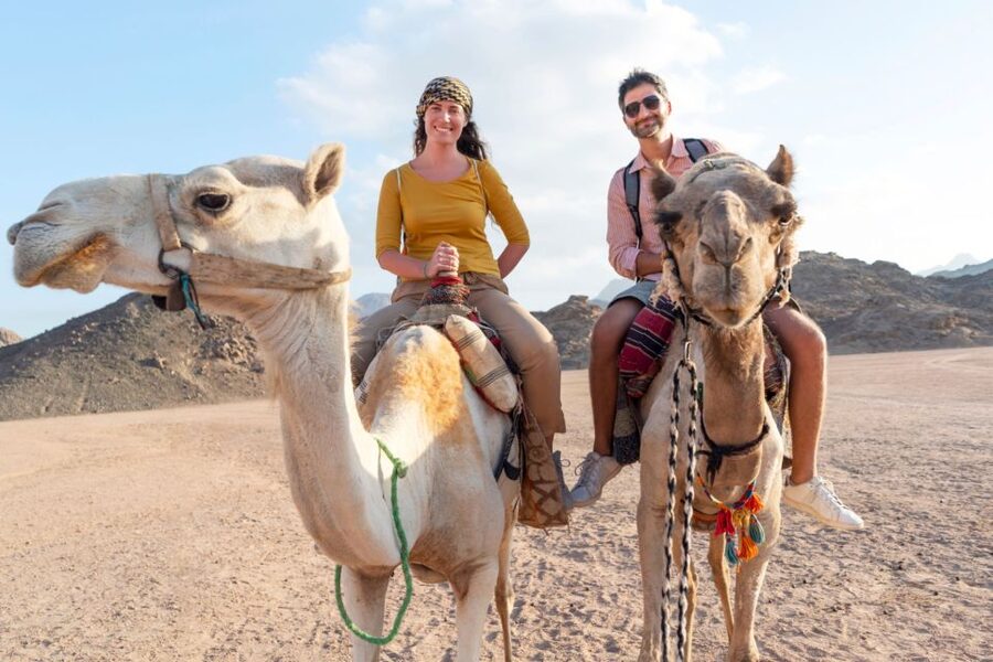 Agadir/Taghazout/Port: Camel Ride Tea & BBQ Option - Photos, poses, and extra costs