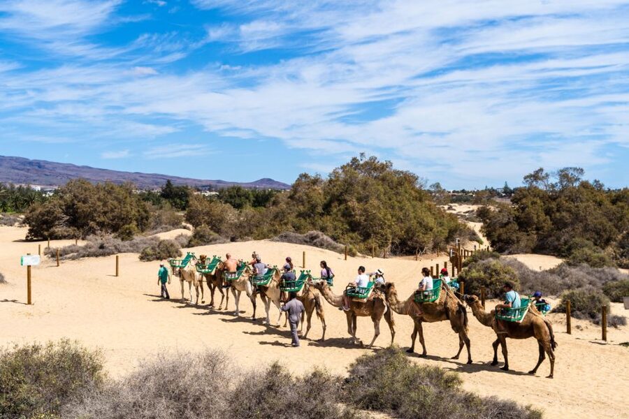 Agadir/Taghazout/Port: Camel Ride Tea & BBQ Option - How much value do you get for $22?