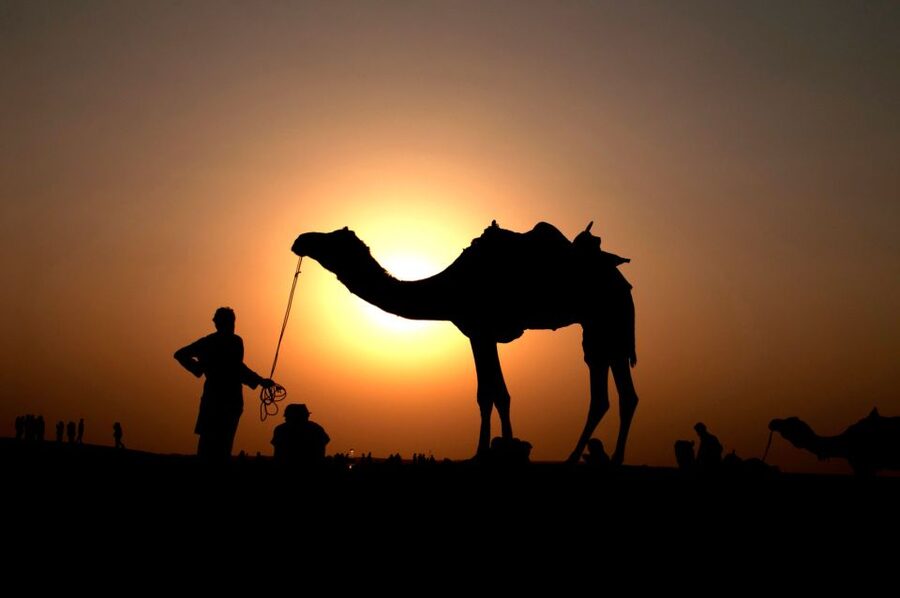 Agadir/Taghazout/Port: Camel Ride Tea & BBQ Option - Who will enjoy this camel ride most?