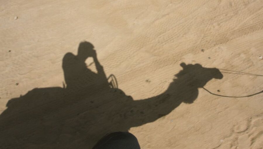 Agadir/Taghazout/Port: Camel Ride Tea & BBQ Option - Riding through Aghroud Bensergao