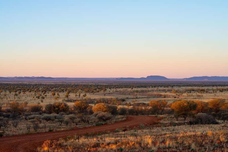 Alice Springs: Red Centre Journey Tour with Morning Tea - Napwerte and Ewaninga: reading the stone carvings