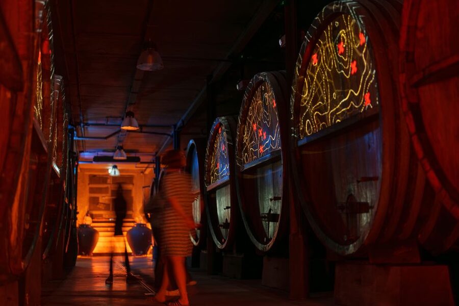 Alsatian Immersive Wine Tour, Wine Tasting & wine/tea time - Who should book this Alsace wine experience?