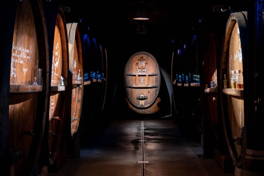 Alsatian Immersive Wine Tour, Wine Tasting & wine/tea time - The 180-degree film on century-old barrels