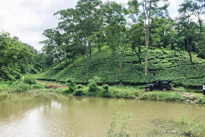 Amchong Tea Estate + Factory Visit (with Hi-tea only) - Reaching Amchong Tea Estate from Guwahati