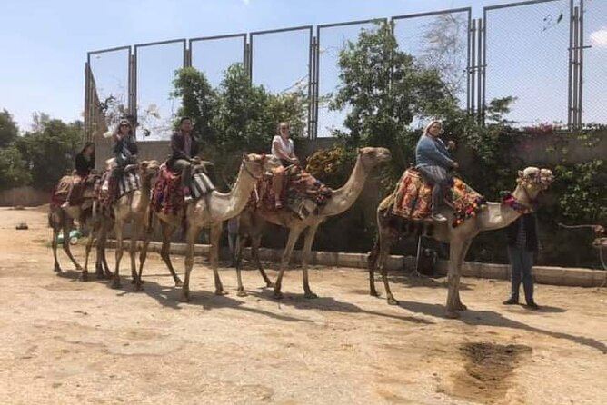 Arabian Nights immersion Pyramids Horse,camel Ride,Bedouin Tea - Is $88.89 a fair price?