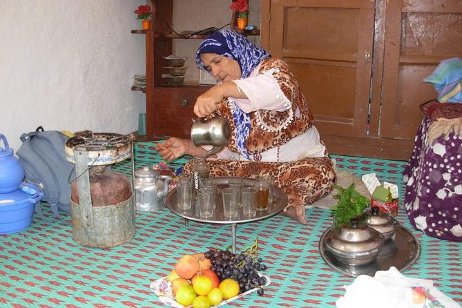 Argan Forest, tea time at a Berbers family & Visit of an Argan cooperative. - Why the argan forest matters near Essaouira