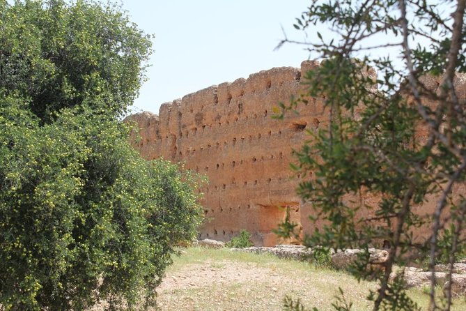 Argan Forest, tea time at a Berbers family & Visit of an Argan cooperative. - Timing, transport, and group size