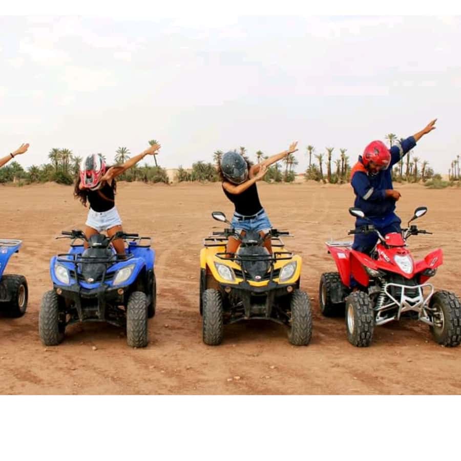 Around Marrakech: Camel Ride in Palm Groves including Tea - What makes this camel ride worth considering