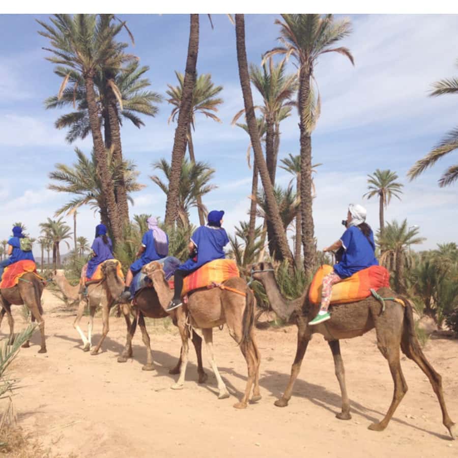 Around Marrakech: Camel Ride in Palm Groves including Tea - An hour among the palms