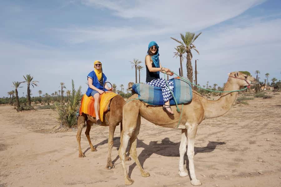 Around Marrakech: Camel Ride in Palm Groves including Tea - Mint tea after the ride
