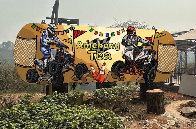 ATV RIDE at Amchong Tea Estate - Who should book this ride?