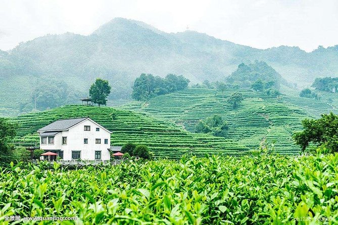 Authentic Hangzhou Longjing Tea Culture Experience Tour - Stop one: the Dragon Well and tea terraces
