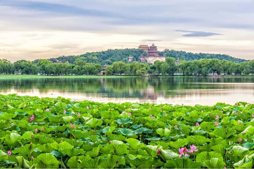 Beijing: Chinese Culture Tea Ceremony Reservation Service - The service quality and what to expect from the host