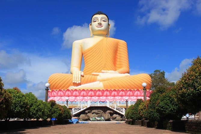 Bentota Village Tour with River Safari & Tea Plantation/Factory - All Inclusive - What the guide and vehicle arrangement mean for your day