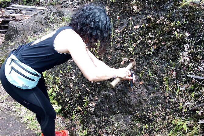 Big Island Jungle Tour with Guava Green Tea - Key points before you book