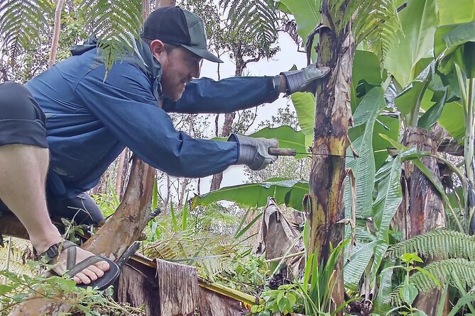 Big Island Jungle Tour with Guava Green Tea - Tiki carvings and Mount Rastamore