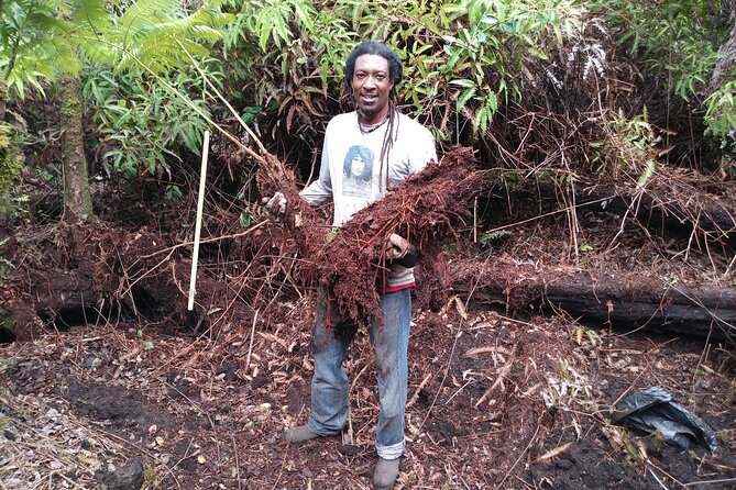 Big Island Jungle Tour with Guava Green Tea - Making art with a hammer and chisel