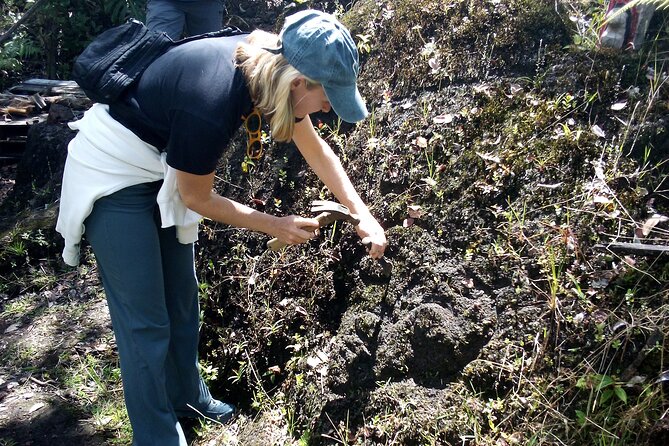 Big Island Jungle Tour with Guava Green Tea - Banana green tea and guava green tea