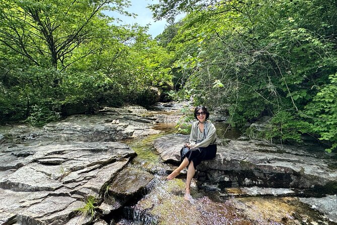 Boseong Tour : Green Tea Field, Mountain & Lake Trail (Private) - Why Boseong makes a strong day trip from Gwangju