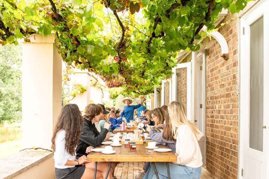 Bowral Honey Farm Tour, Honey Tasting & morning Tea - What makes this Bowral bee experience special