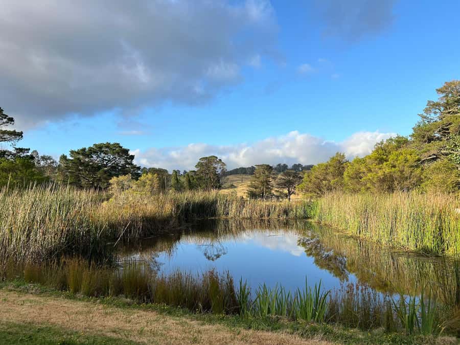 Bowral Honey Farm Tour, Honey Tasting & morning Tea - Twenty minutes beside the working hives