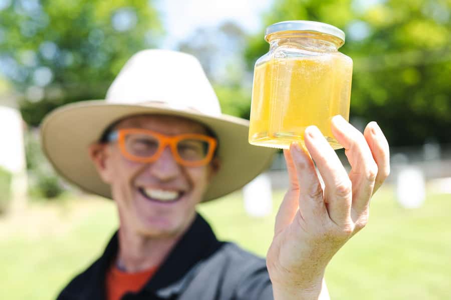 Bowral Honey Farm Tour, Honey Tasting & morning Tea - Twenty minutes tasting raw honey by floral source