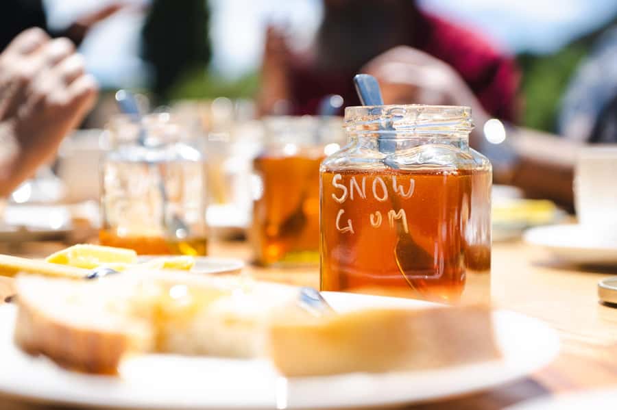 Bowral Honey Farm Tour, Honey Tasting & morning Tea - Five minutes for photographs and honey shopping