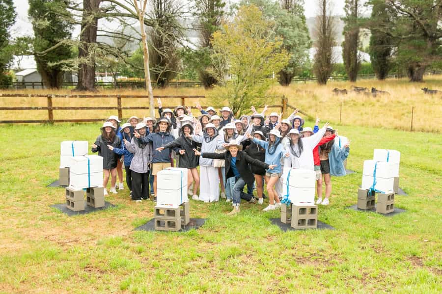 Bowral Honey Farm Tour, Honey Tasting & morning Tea - Should you book the Bowral Honey Farm tour?