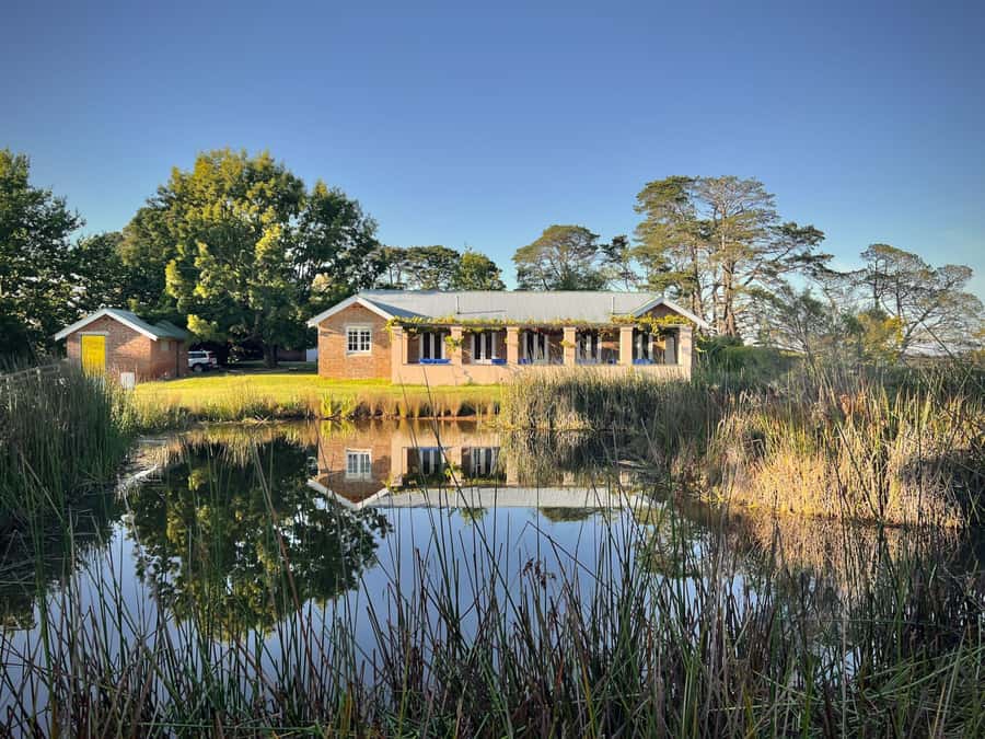 Bowral Honey Farm Tour, Honey Tasting & morning Tea - Five minutes of safety before the hives