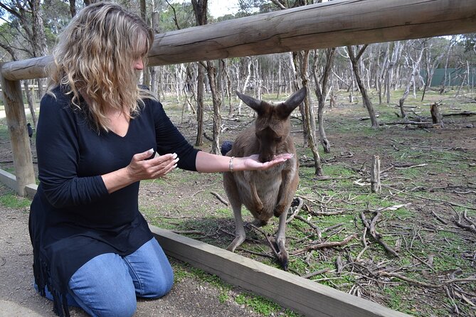 Brisbane Bus Tour: Max 10 people | Half Day | Morning tea inc. - Kangaroo Point Cliffs in a quick ten minutes