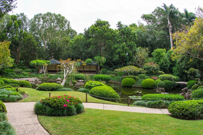 Brisbane Bus Tour: Max 10 people | Half Day | Morning tea inc. - What the small group and guide style add