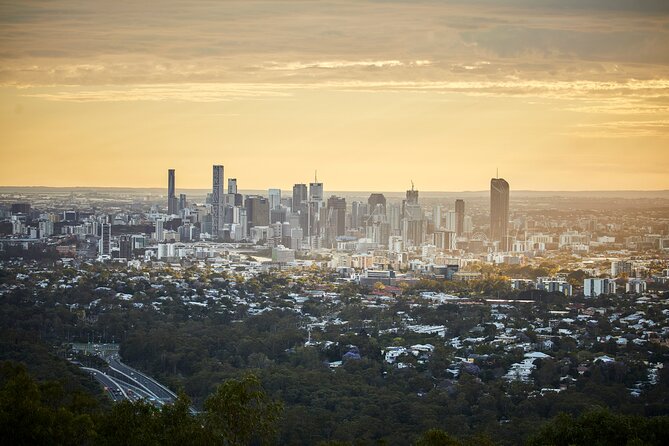 Brisbane Bus Tour: Max 10 people | Half Day | Morning tea inc. - Starting in central Brisbane at 9:00 am