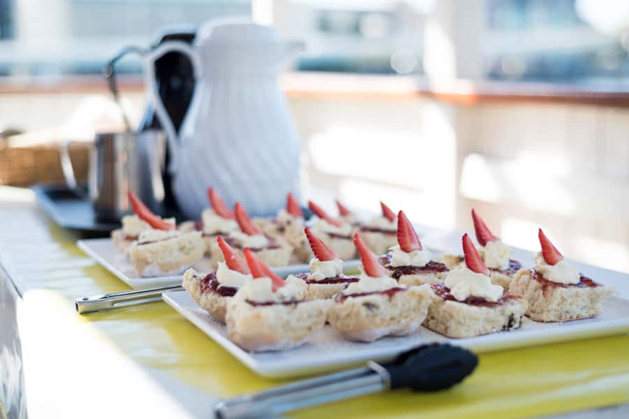 Brisbane: Morning Sightseeing Cruise: 10:30am-12pm (90min) - The Brisbane River route, from South Bank to the city sights