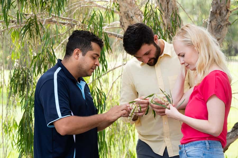Bundaberg: Half Day Indigenous Experience with Morning Tea - Why this Bundaberg cultural tour matters