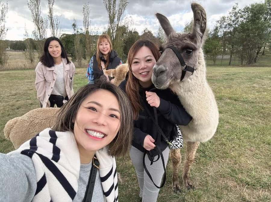 Canberra: Alpaca Adventure Farm Tour (morning tea included) - Why this 90-minute alpaca walk works